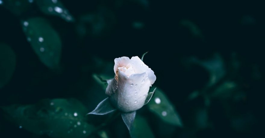深色屏幕上展开的半年btbxx数据折线图，霓虹绿色曲线在第二季度明显抬升，背景是编辑部工作台