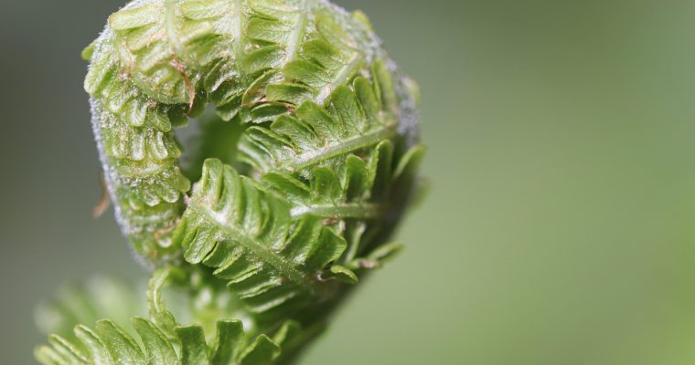 深色房间里的宽屏显示器上展开btbxx数据看板，多条霓虹绿折线与柱状图交错排列